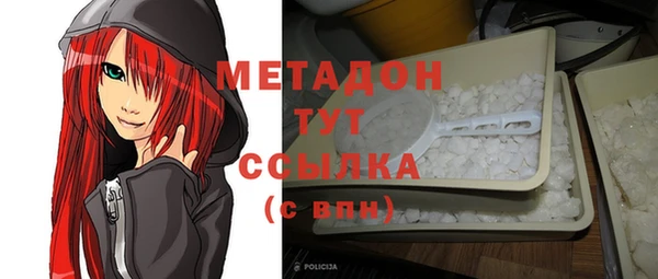 прущие грибы Новозыбков