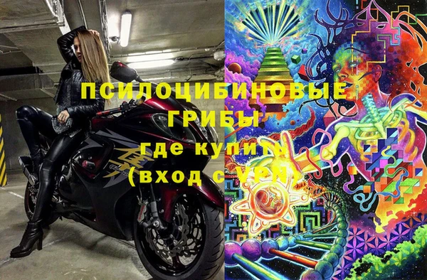 спайс Новодвинск