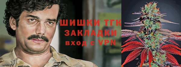 спайс Новодвинск