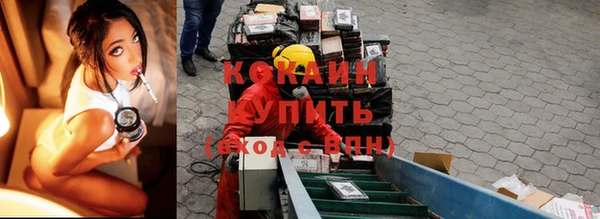 спайс Новодвинск